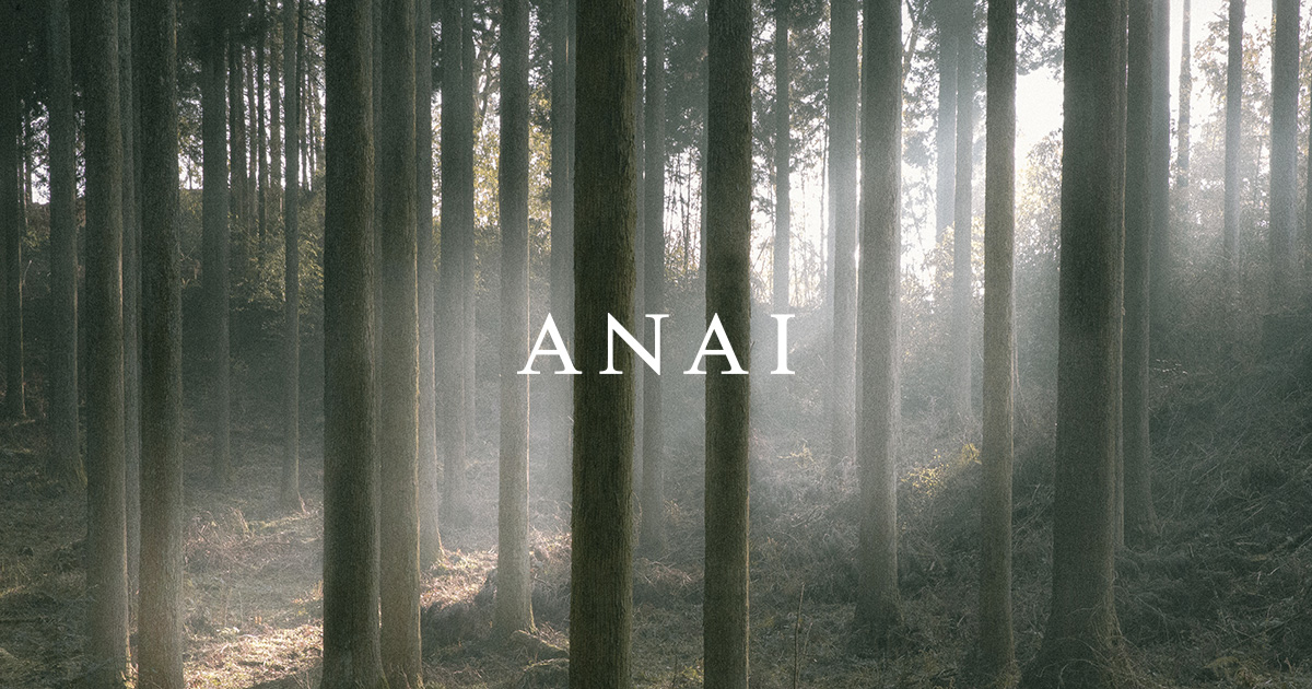 Poster for ANAI